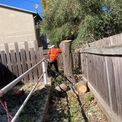 Clean Landscaping Bay Area