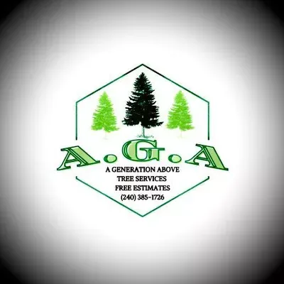 A Generation Above Tree Services