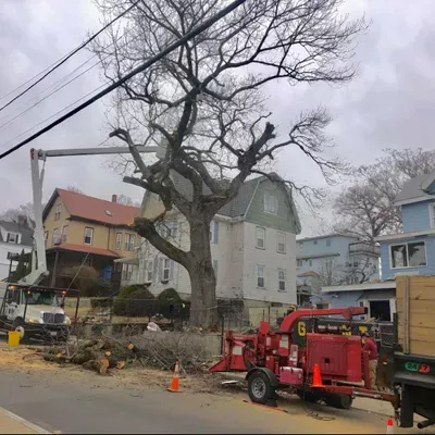 HERMEN & SON'S LANDSCAPING & TREE SERVICES