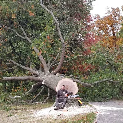 Billiters Tree Service And Lawn Care