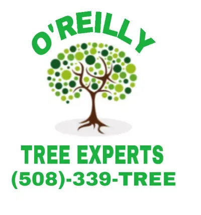 O'Reilly Tree Experts Trees R Us
