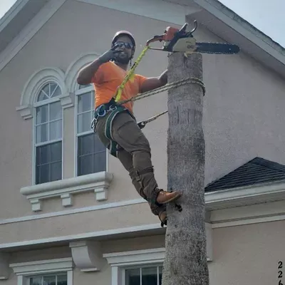 Justin Time Tree Service