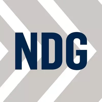 Nielsen Development Group