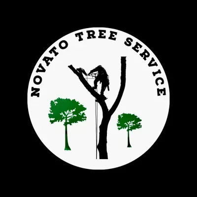 Novato tree Service