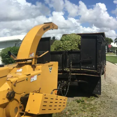Three guys tree trimming