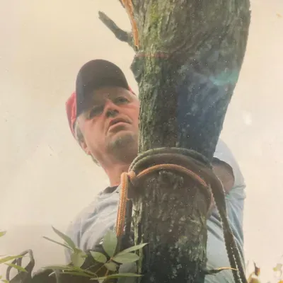 Wesley Kirk Tree & Shrubbery Service