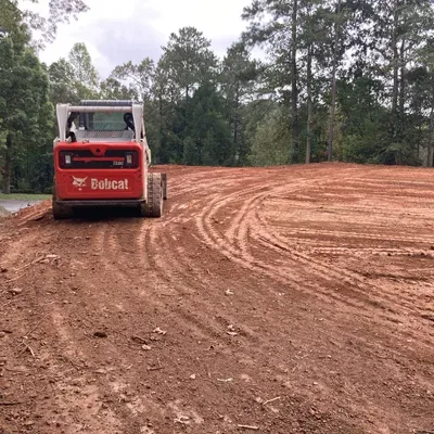 Moon’s tree services