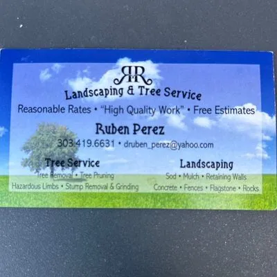 R&R landscaping & Tree service llc