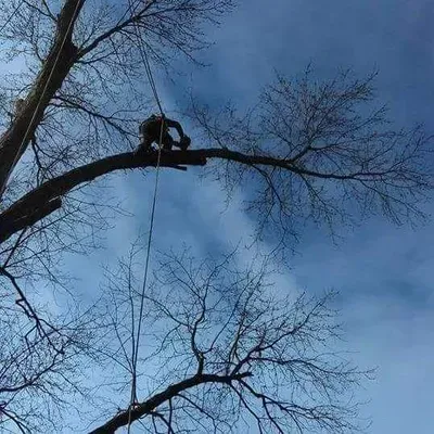 J&M Tree Service