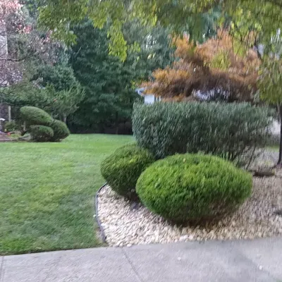 USA Landscaping And Construction LLC