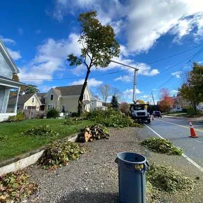 DERAS TREE SERVICE