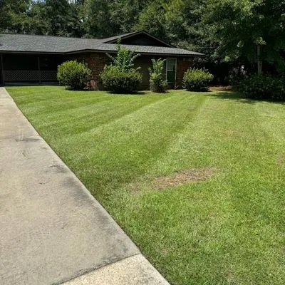 SeLecT Landscaping and Design