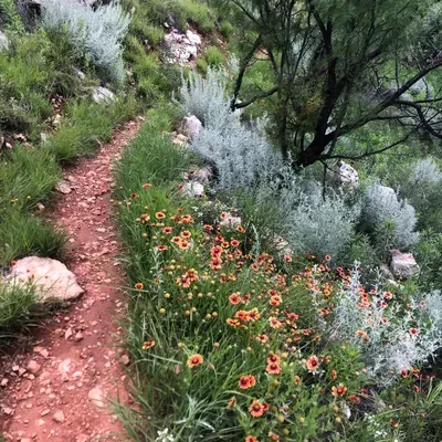 Elite hardscape and masonry