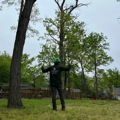 Chromium Tree Service and Landscaping