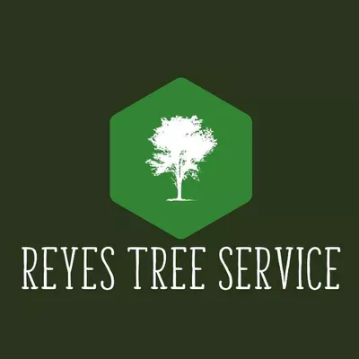 Reyes Tree Service & Stump Grinding