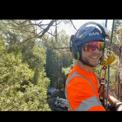 Top Notch Tree Services