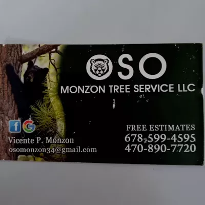 Oso Monzon Tree Services Llc