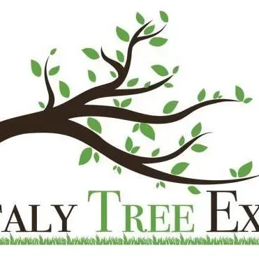 Italy Tree Expert