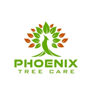 Phoenix Tree Care