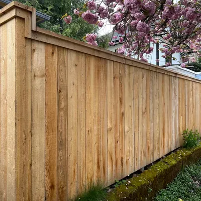 Antonio’s fencing