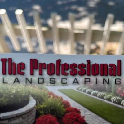 The professional landscaping