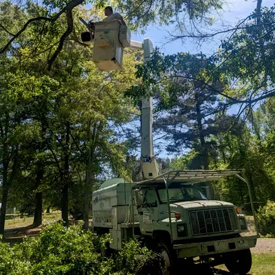 JRT Tree Service