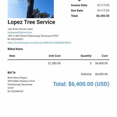 Lopez Tree Service LLC