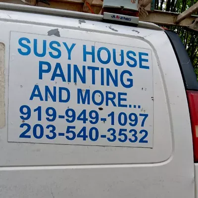 Susy House Painting