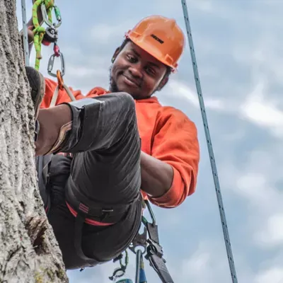 ArborXtreme
