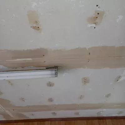 Drywall Dreams And Paint