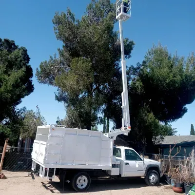 Abad Tree Service