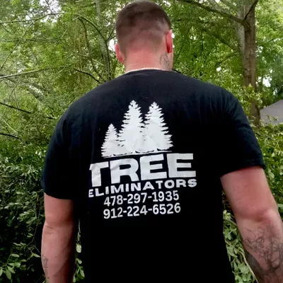 Tree Eliminators