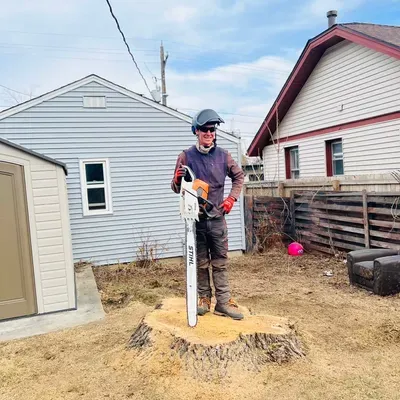 Tannenbaum Tree Care