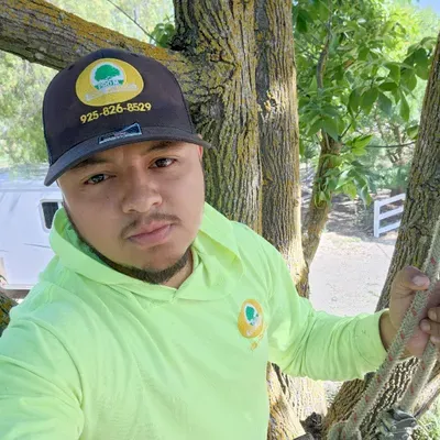Pro m Tree Service