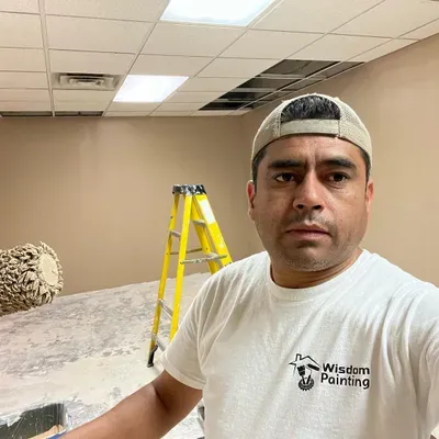 Wisdom painting LLC
