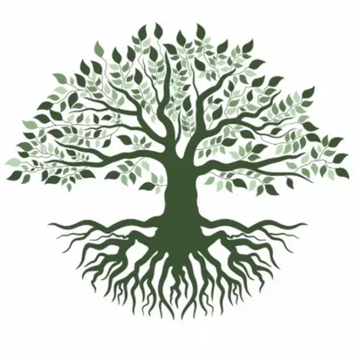 Fast Tree Care