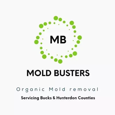 Mold Busters