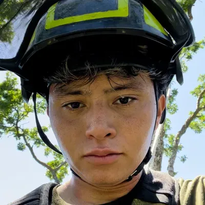 Alex tree service inc.