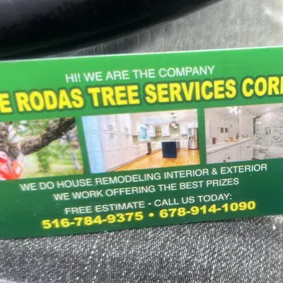 The rodas tree service