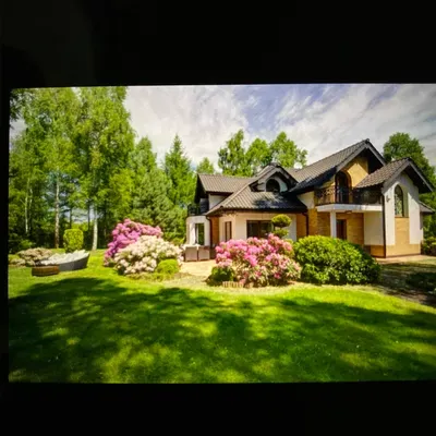 Gustavo Ramirez Tree services