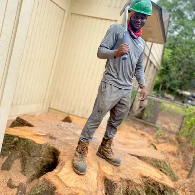 Solos Tree Removal