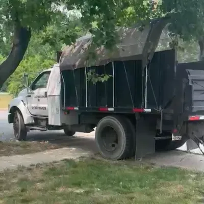 J&G tree services