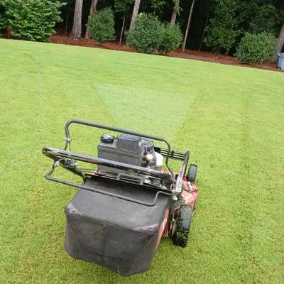 Jose Rubilio Landscaping