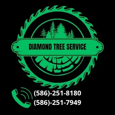 DIAMOND TREE SERVICE
