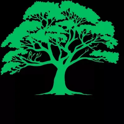 DIAMOND TREE SERVICE