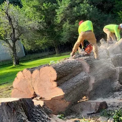 Eliezer Tree Services