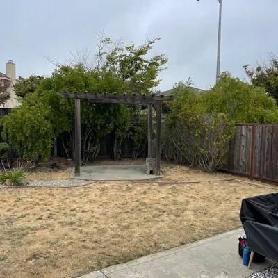 Monarch Junk Removal & Yard Services