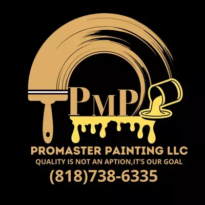 Promaster painting and construction