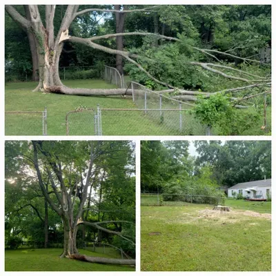 Outcast Tree Care co