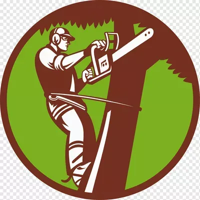 Sky Scraper Tree Works and Landscaping